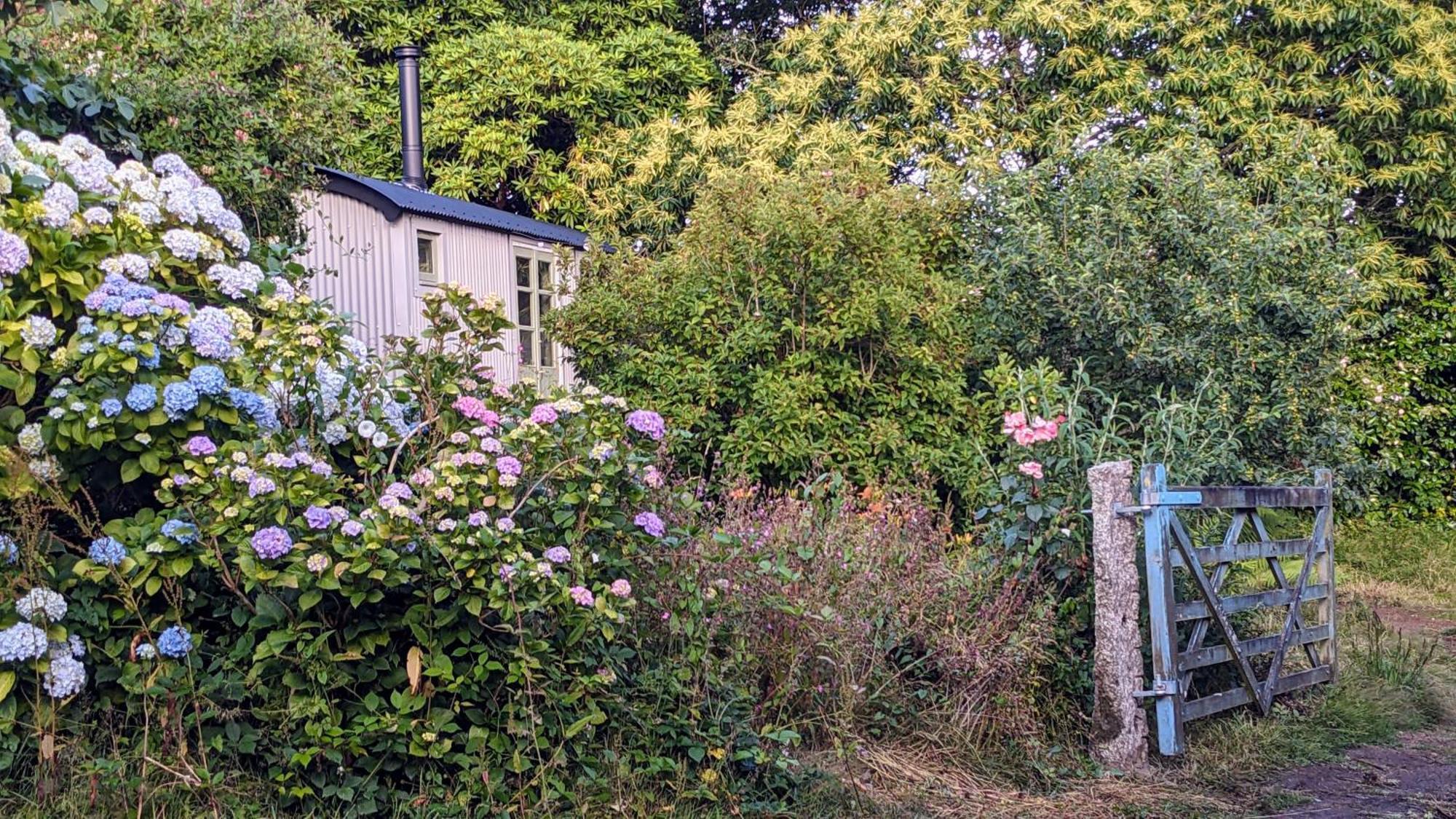 Villa The Applehay Constantine Esterno foto